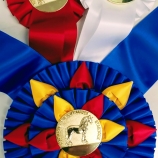 FHANA-Rosette-Ribbon-Awards